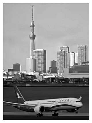 Shanghai Airlines Airplane Landing at Tokyo Haneda Airport